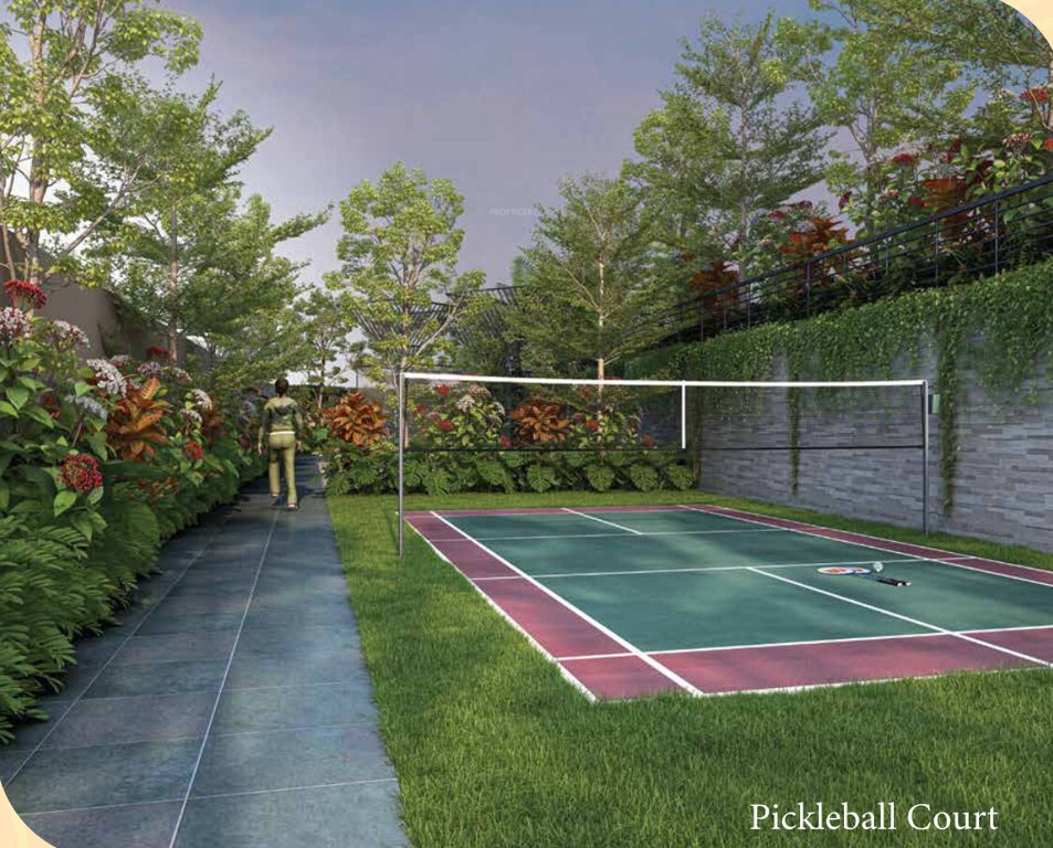  revasa aura Pickleball Court