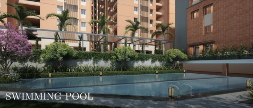  revasa aura Swimming Pool