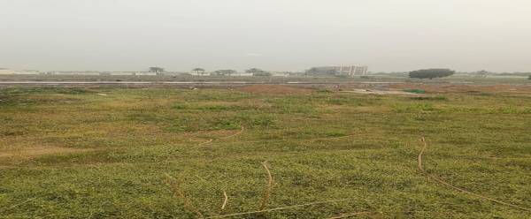 Elevation shree-niketan-homes Elevation