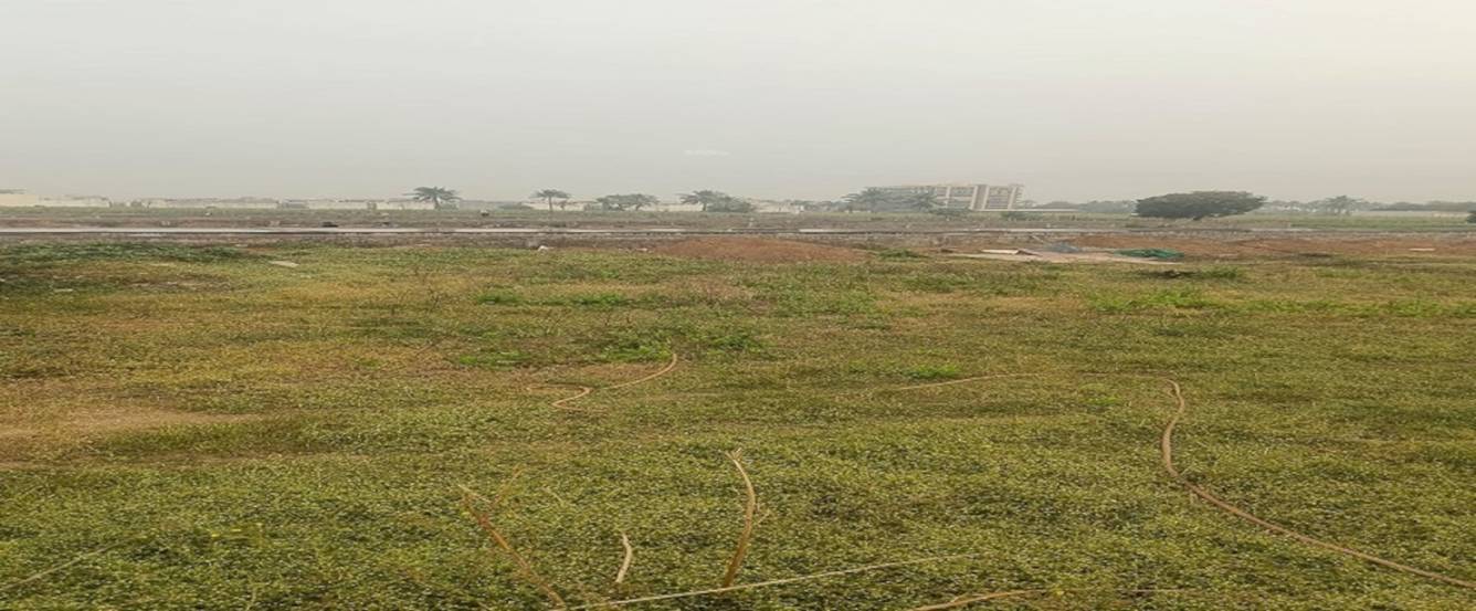 Elevation shree niketan homes Elevation