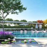  emaar-elite-oasis Swimming Pool