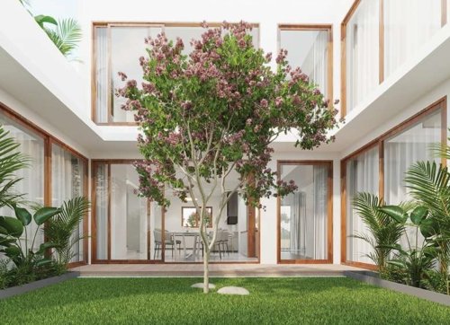 Landscape Garden and Tree Planting roots Landscape Garden and Tree Planting