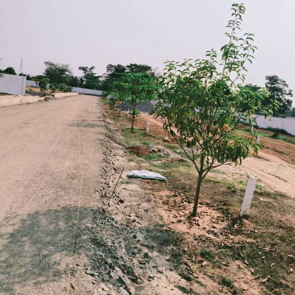 Internal Roads & Footpaths green-village Internal Roads & Footpaths