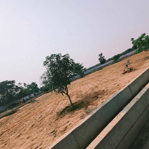 Plot green-village Plot