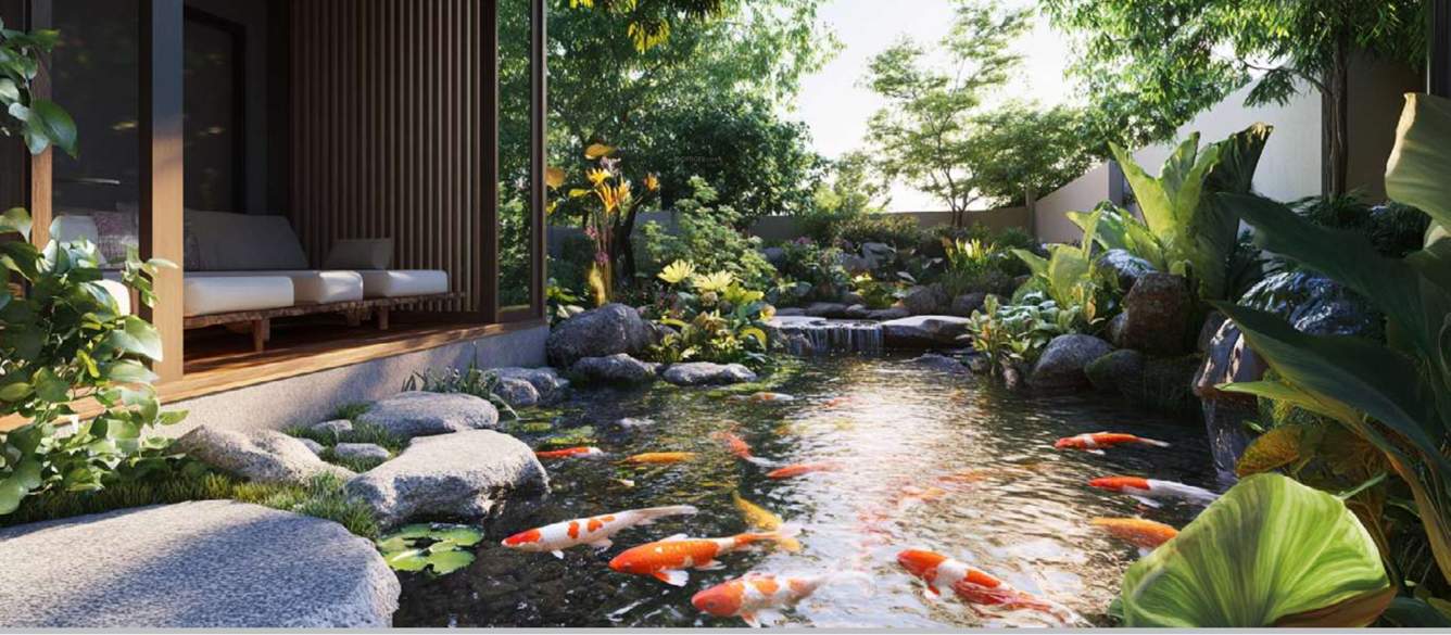 casa aventis Landscape Garden and Tree Planting