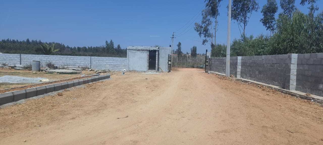  mango nest farmlands Internal Roads & Footpaths
