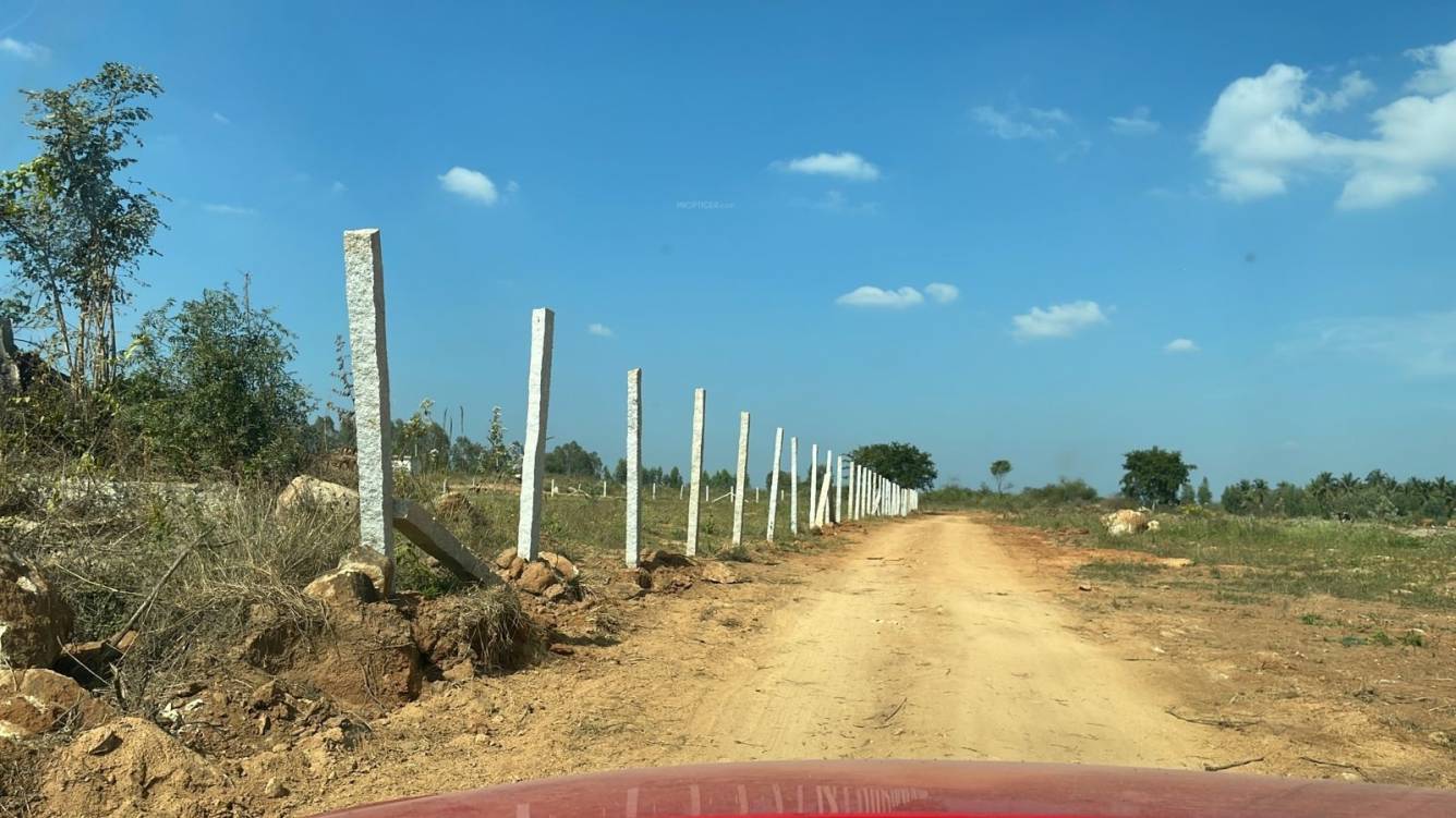  mango nest farmlands Internal Roads & Footpaths