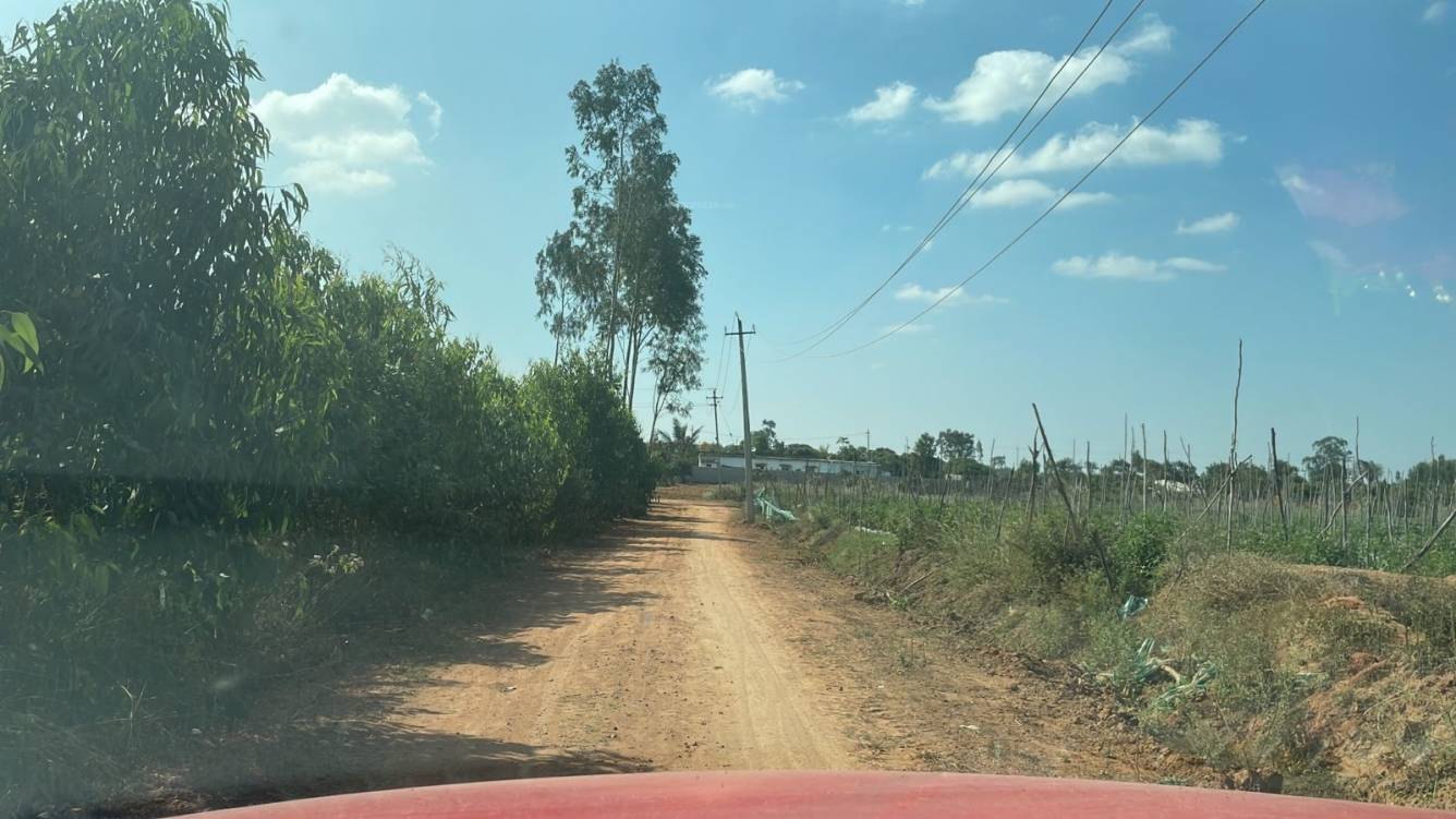  mango nest farmlands Internal Roads & Footpaths