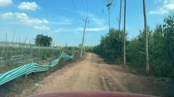  mango-nest-farmlands Internal Roads & Footpaths