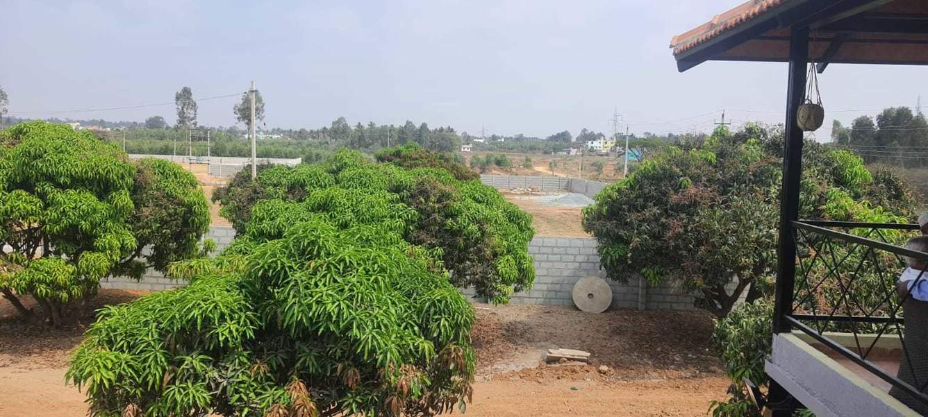  mango nest farmlands Landscape Garden and Tree Planting