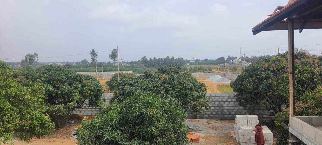  mango nest farmlands Landscape Garden and Tree Planting