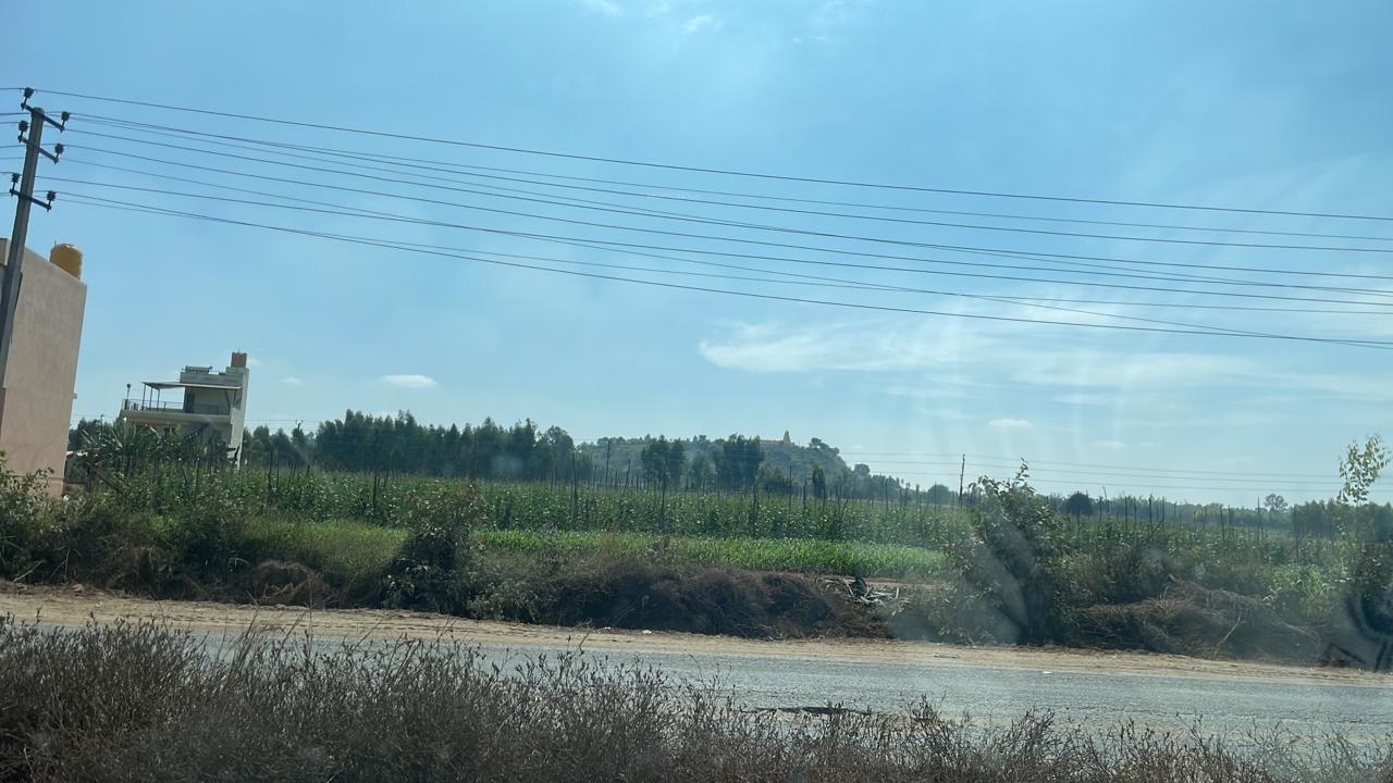  mango nest farmlands Others