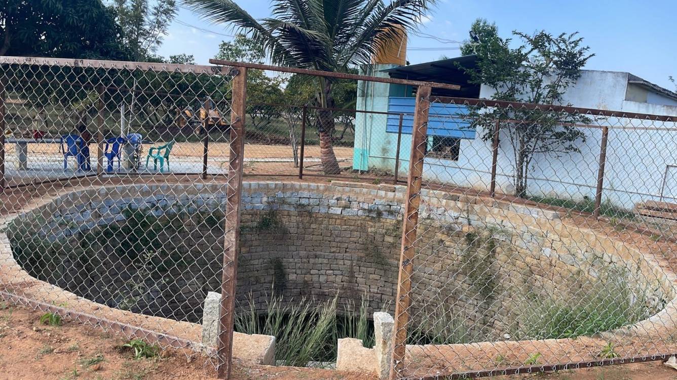  mango nest farmlands Others