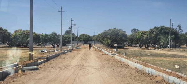  mango-nest-farmlands Plot