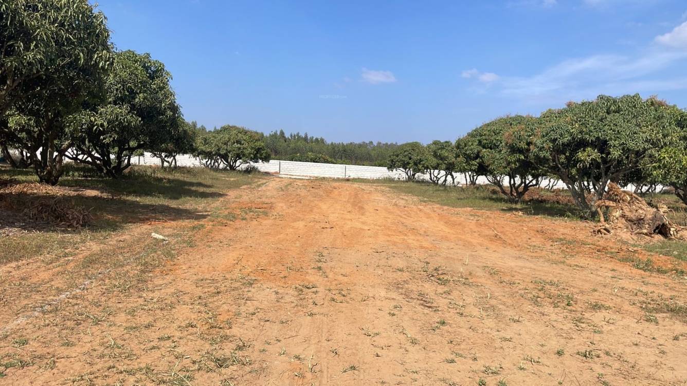  mango nest farmlands Plot