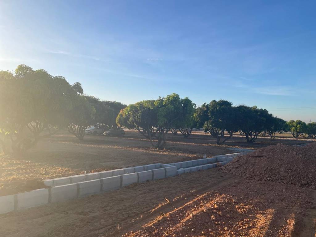  mango nest farmlands Plot