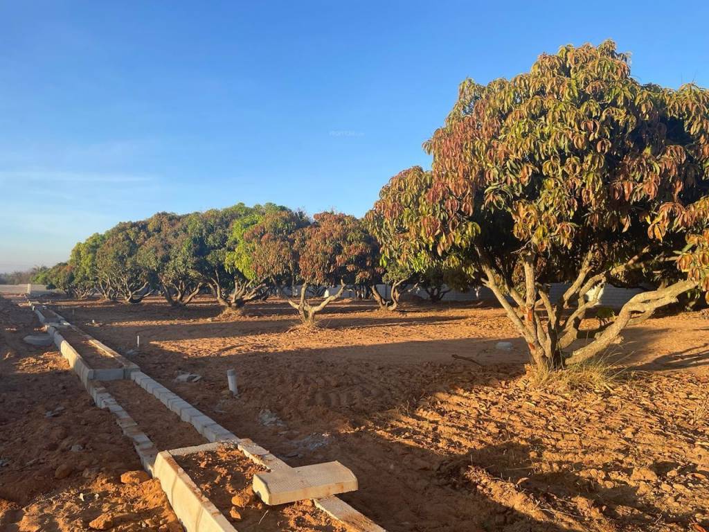  mango nest farmlands Plot