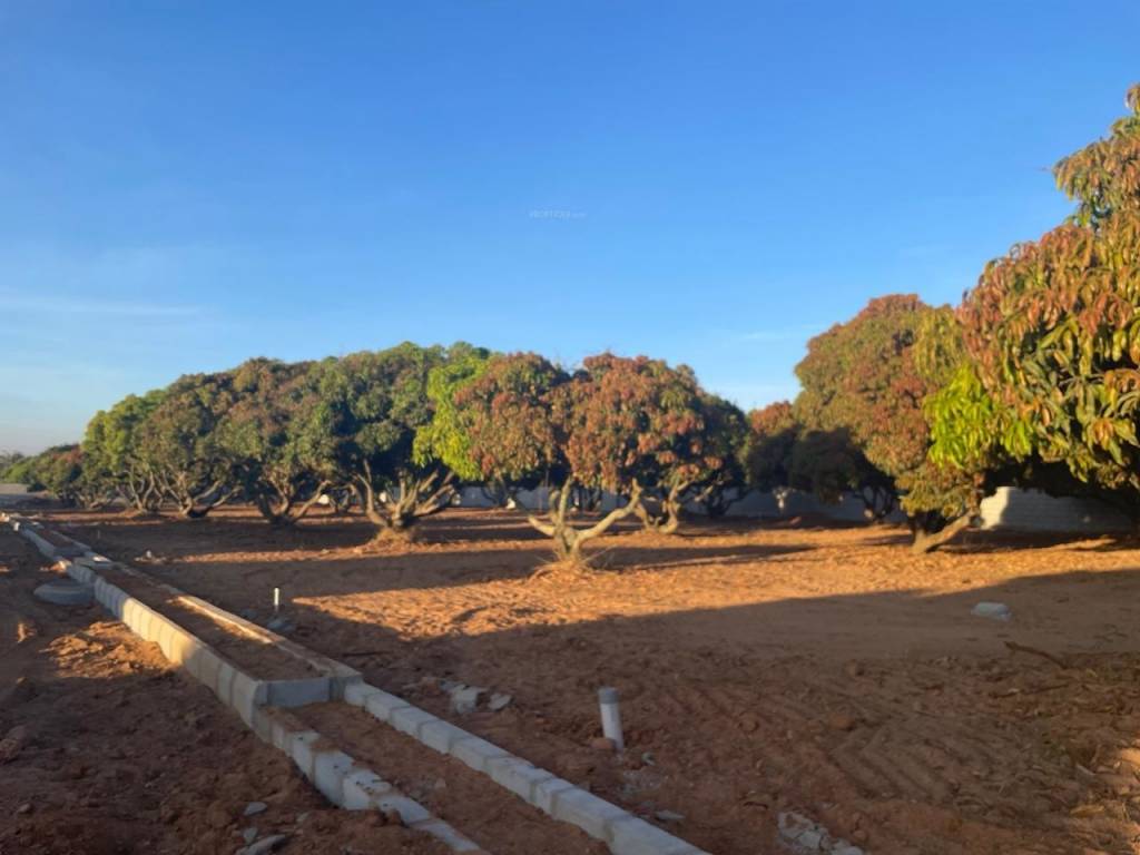  mango nest farmlands Plot