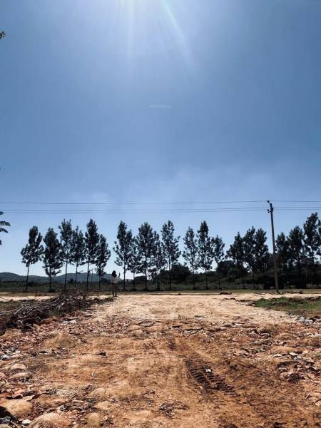 Elevation navile-farms Elevation