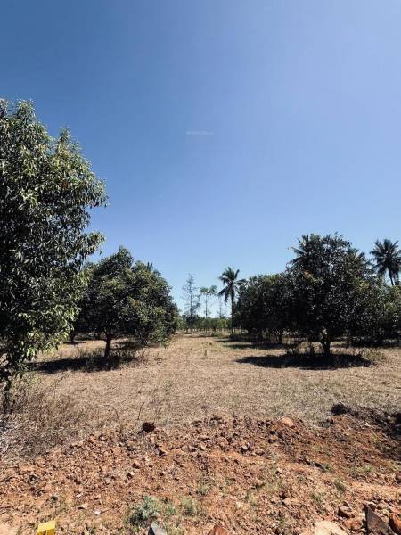  navile-farms Elevation