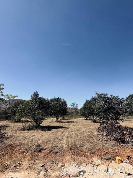  navile-farms Elevation