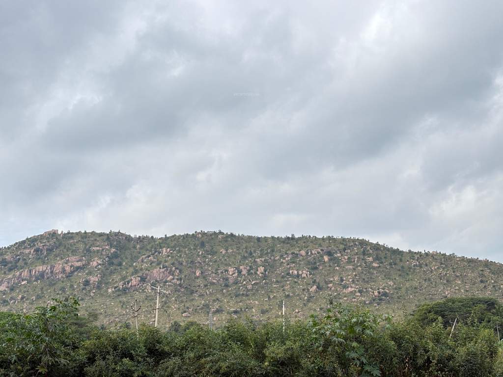  navile farms  Others