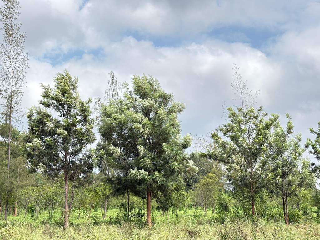  navile farms  Others