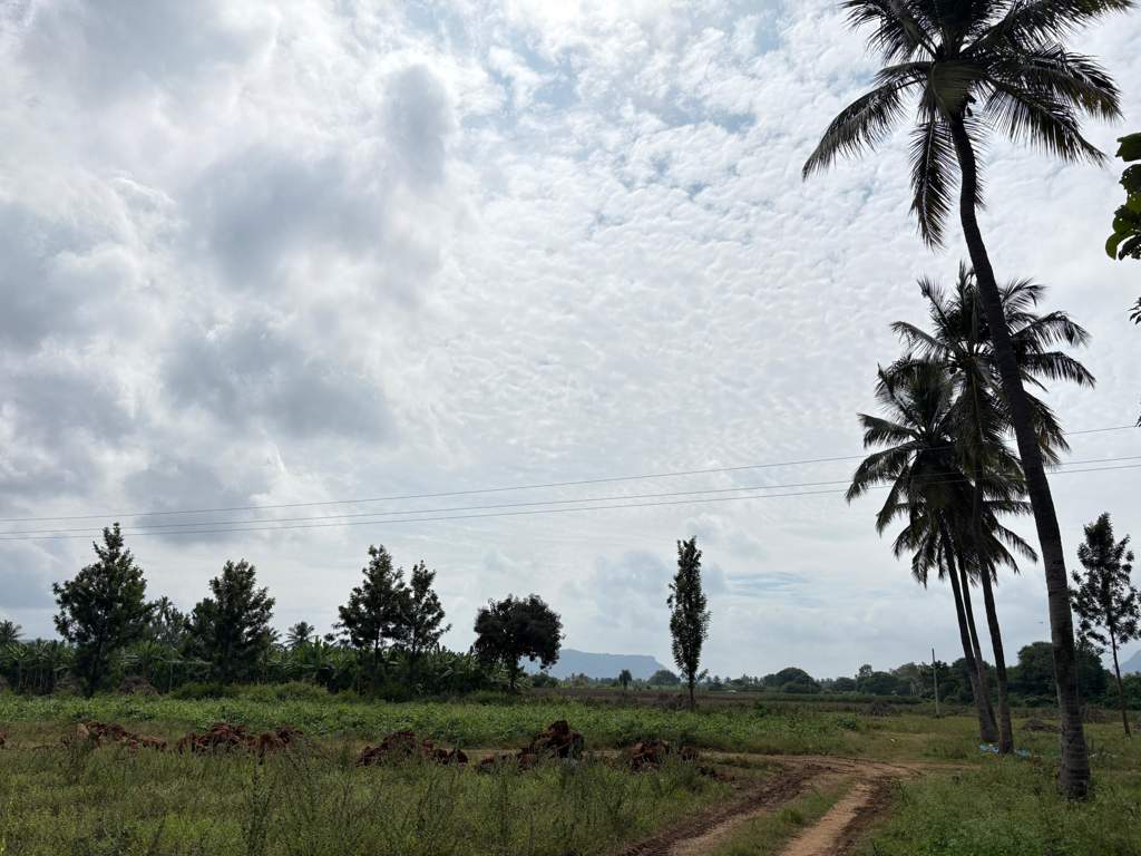  navile farms  Others