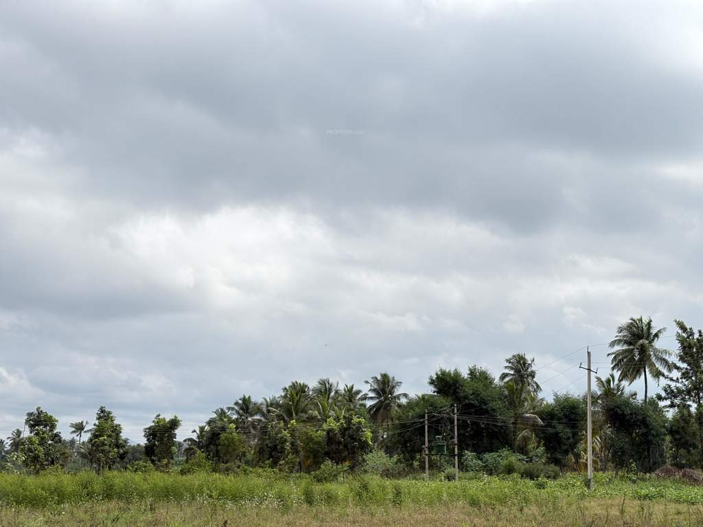  navile farms  Others