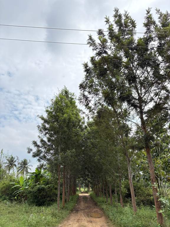  navile farms  Others