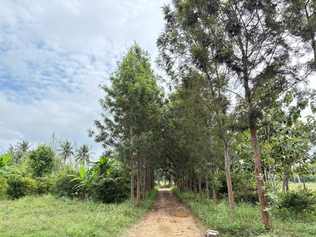  navile farms  Others