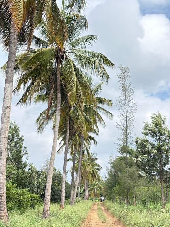  navile farms  Others