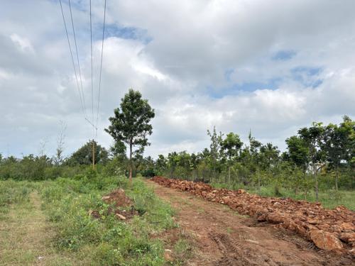  navile-farms- Others