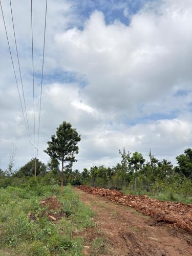  navile-farms- Others