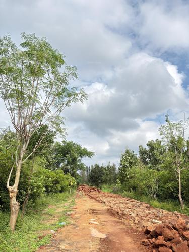  navile-farms- Others