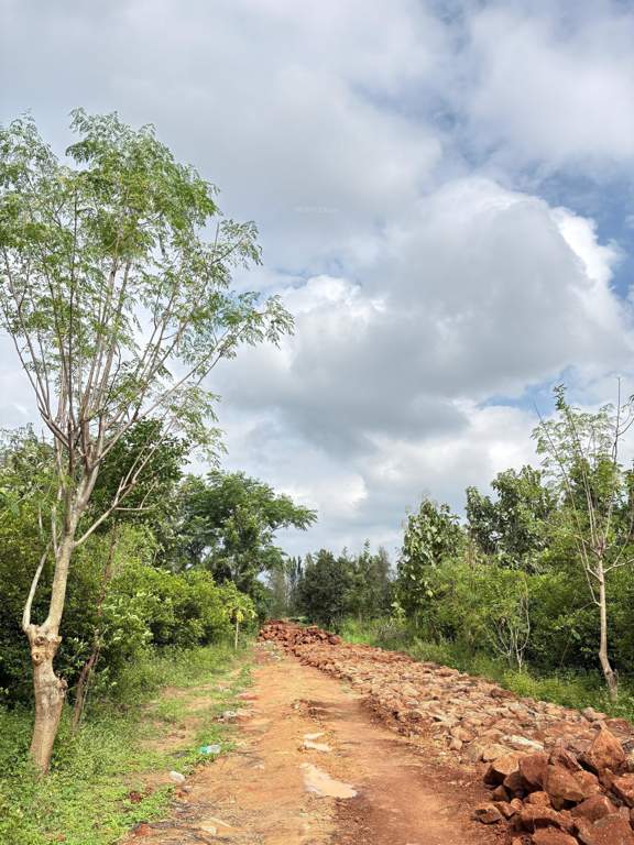  navile farms  Others