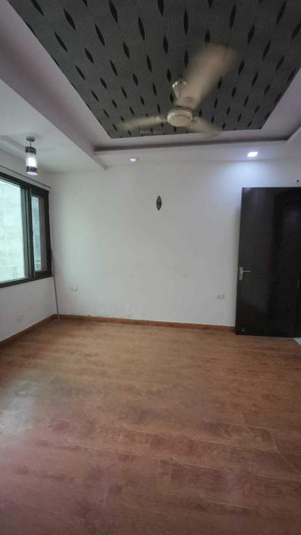 freedom fighter floors Living Area