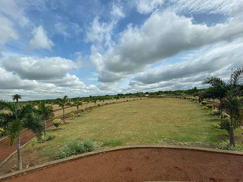  city of woodland chatoud Landscape Garden and Tree Planting