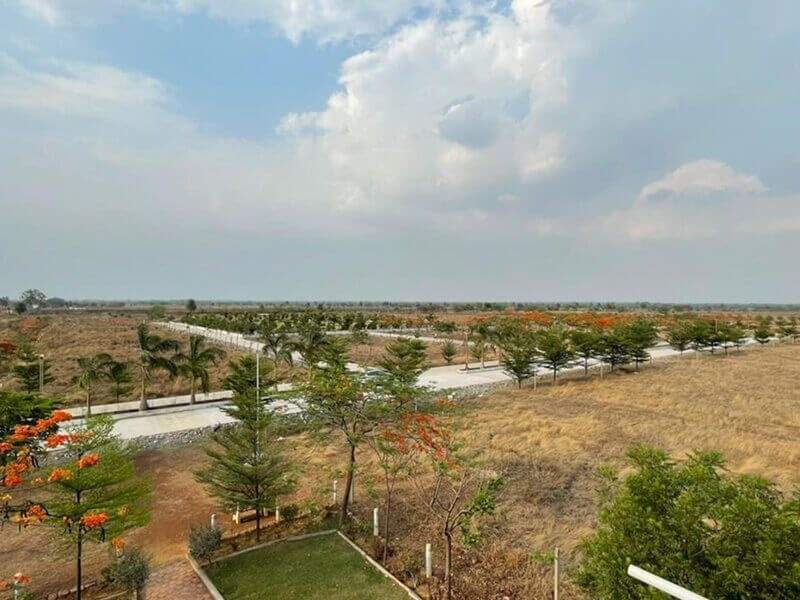  city of woodland chatoud Plot