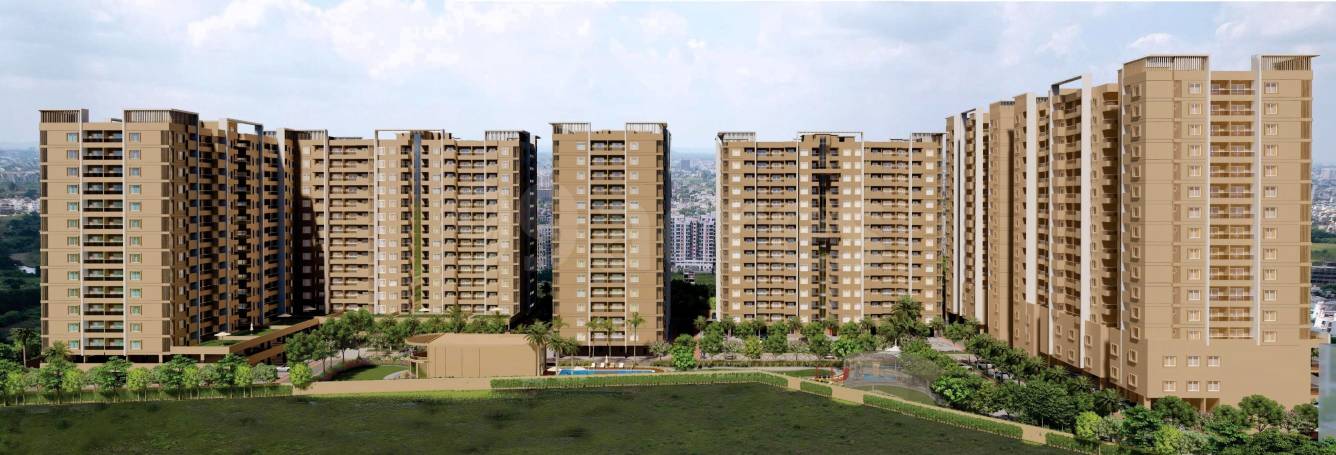 Elevation pyramid amara Elevation