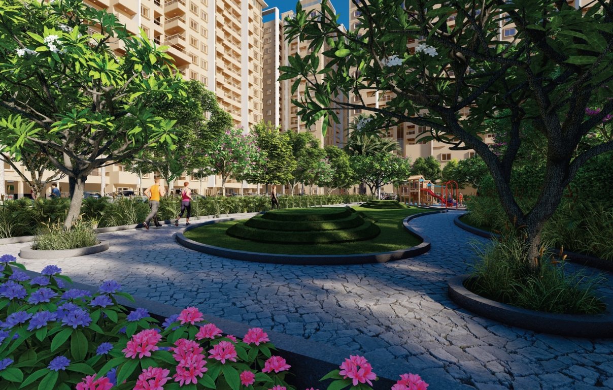  pyramid amara Jogging Track