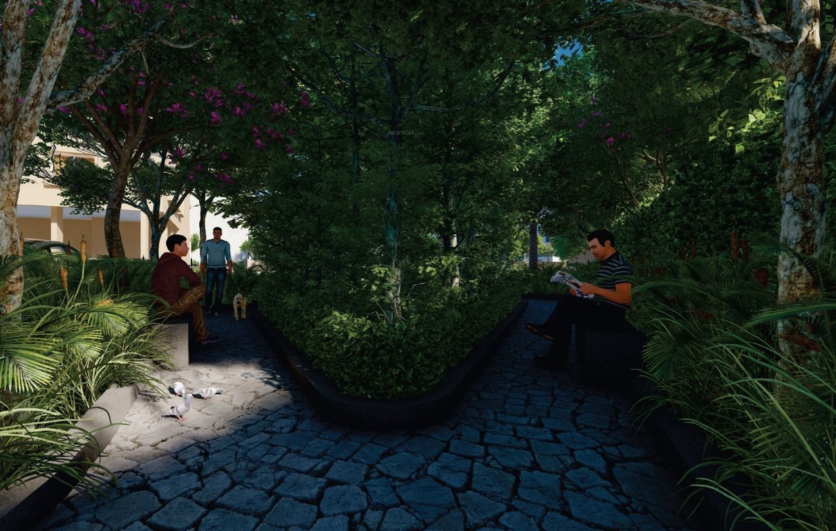  pyramid amara Others