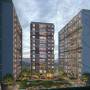 Niranjan Associates Milestone Euphoria