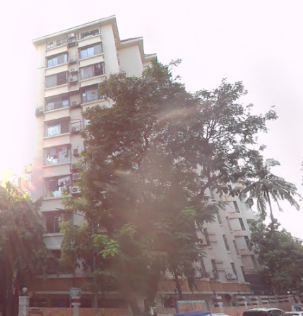  shradha suman Elevation