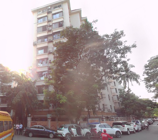  shradha suman Elevation