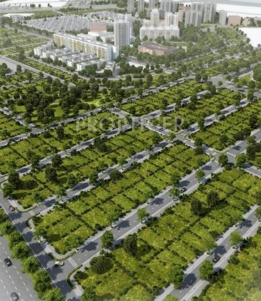  the park street plots Plot