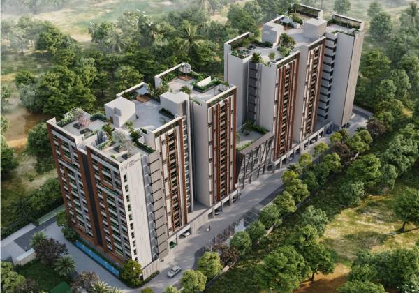 Elevation ls-sakura Elevation