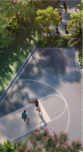  ls-sakura Basketball Court