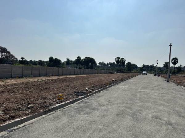  annam-avenue Elevation