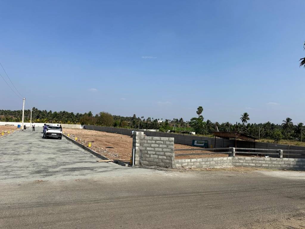 Elevation  annam avenue Elevation